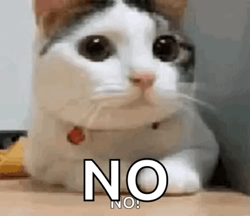 A teary-eyed cat sits beneath a huge “NO.”