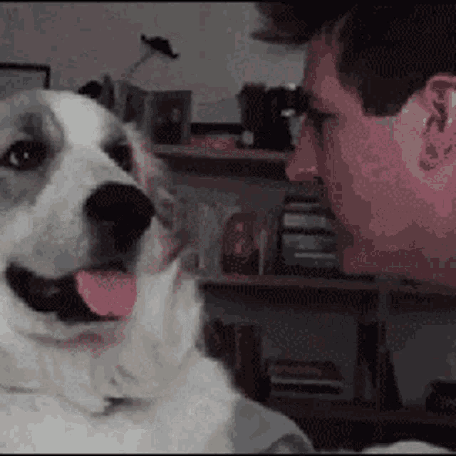 a man with a tattoo on his ear is looking at a dog with its tongue out