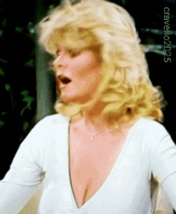 a woman with blonde hair is wearing a white top with a plunging neckline and a necklace .