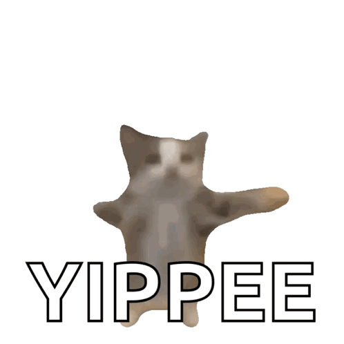 A blurry cat stretches its paws wide over large outlined text reading “YIPPEE.”