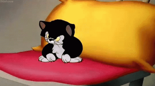 A black-and-white kitten sits grumpily on a red cushion.