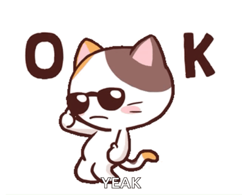 A sunglasses-wearing cartoon cat stands between large “O” and “K” letters.