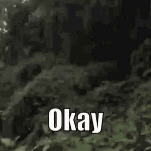 A dark forest scene is captioned “Okay.”
