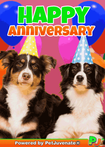 two dogs wearing party hats with the words happy anniversary written above them