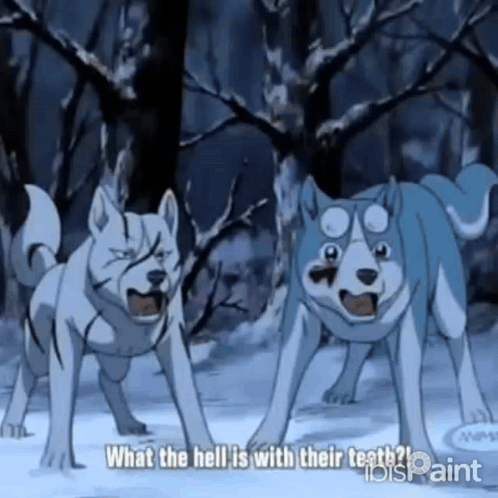two dogs are standing in the snow and one of them says what the hell is with their teeth ?