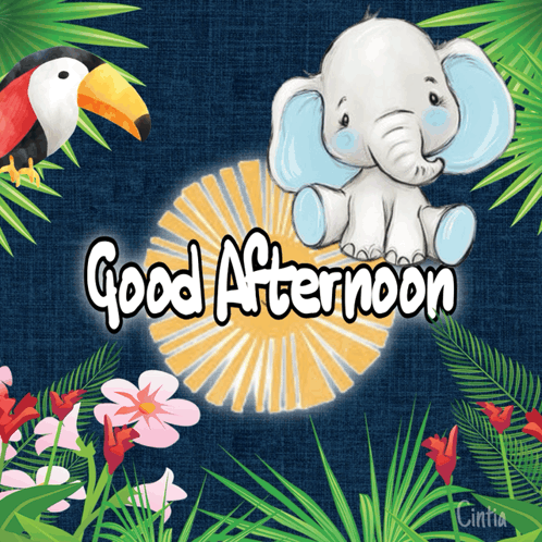 a good afternoon greeting card with an elephant and toucan