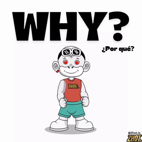 Zoidberg from Futurama asks “WHY NOT ZOIDBERG.”