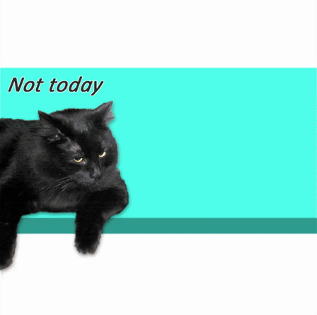 a black cat laying on a blue surface with the words " not today "