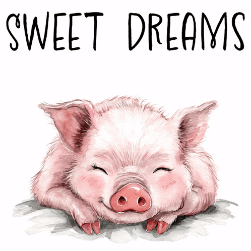 an illustration of a pig with the words sweet dreams written above it