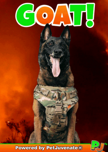 a poster with a dog and the words goat written on it