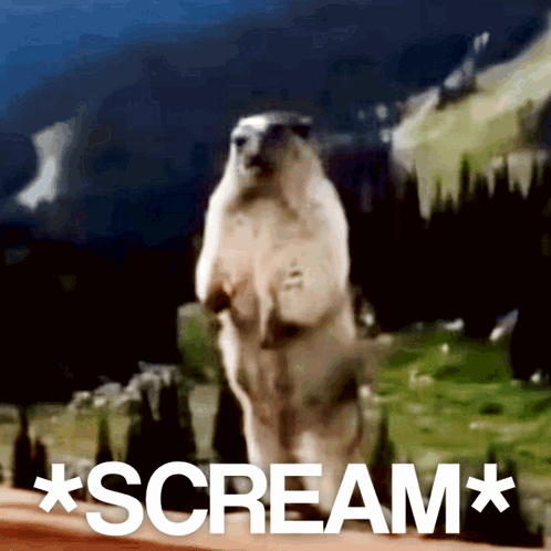 A marmot-like animal stands with its mouth open beneath the caption “*SCREAM*.”