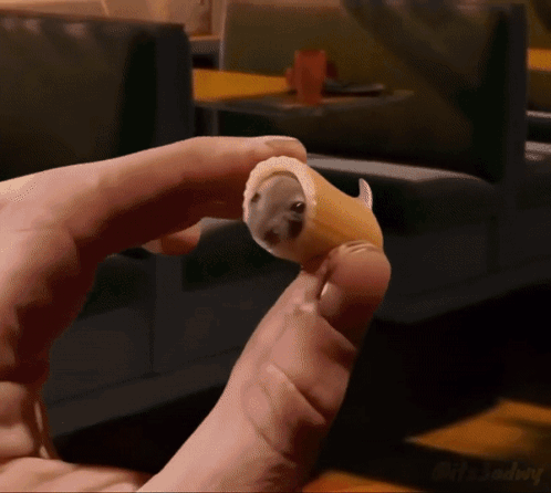a person is holding a piece of bread that looks like a mouse