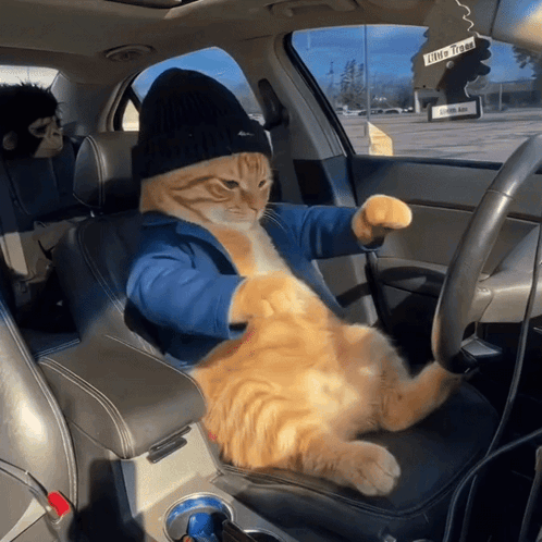 a cat wearing a hat is sitting in a car