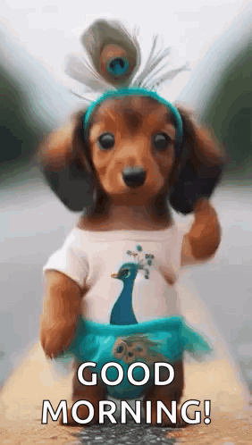 A small dog in a shirt dances beneath the caption “GOOD MORNING.”