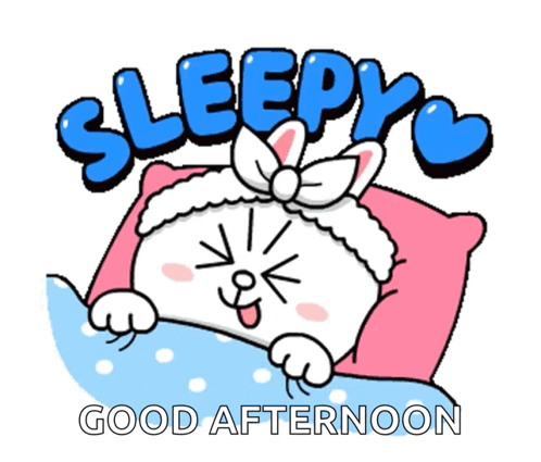 a cartoon of a cat laying on a pillow with the words sleepy good afternoon above it