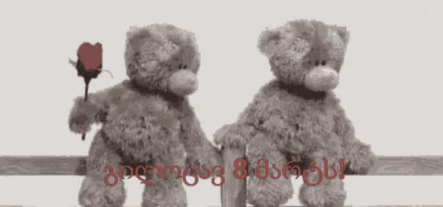 two teddy bears standing next to each other with a rose in their hand