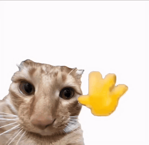 A cat waves with a yellow paw against a white background.