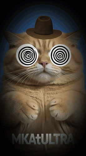 a cat wearing hypnotic glasses and a hat says mkatultra on the bottom