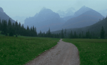 a dirt road going through a grassy field in the mountains