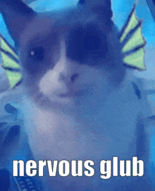 a close up of a cat with the words nervous glub written below it