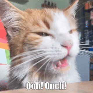 A close-up orange-and-white cat appears with the caption “Ooh! Ouch!”