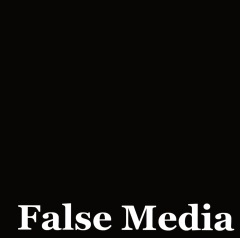 a picture of a cartoon character with the words " false media " below it