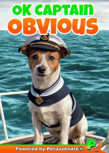 A sailor-dressed dog graphic reads “OK CAPTAIN OBVIOUS”.