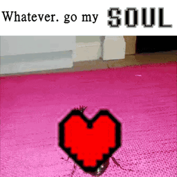 a picture of a bug with a pixelated heart and the words " whatever go my soul "