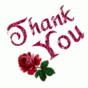 Glittery pink script says “Thank You” beside a red rose.