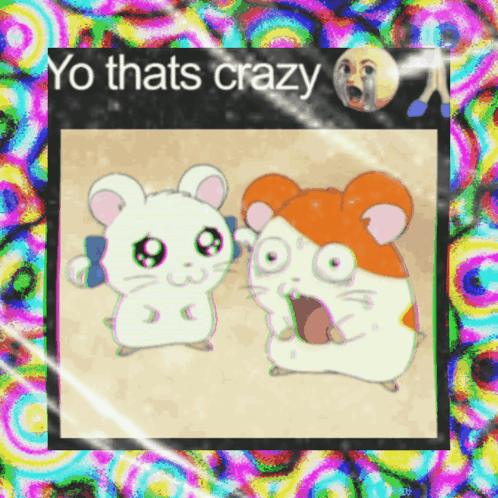 a picture of two hamsters with the words yo thats crazy on top