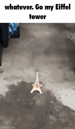 Eiffel Tower image appears on pink carpet under a meme caption.
