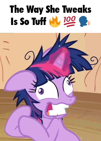 Twilight Sparkle smiles mischievously beneath text about someone twerking.