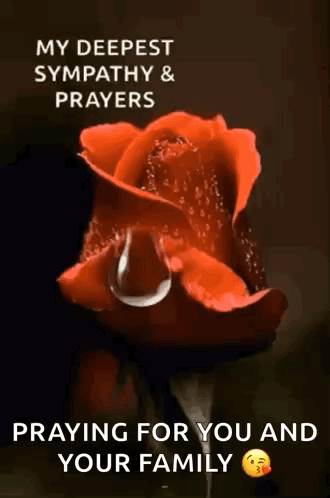 a red rose with a tear coming out of it .