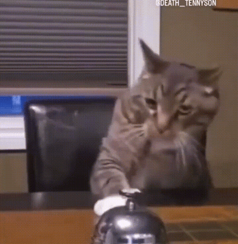 a cat is playing with a bell on a table and has the name death tennyson on the bottom
