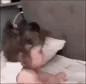 A tired baby rests their head against an adult.
