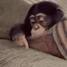 A monkey leans on a surface and taps impatiently.