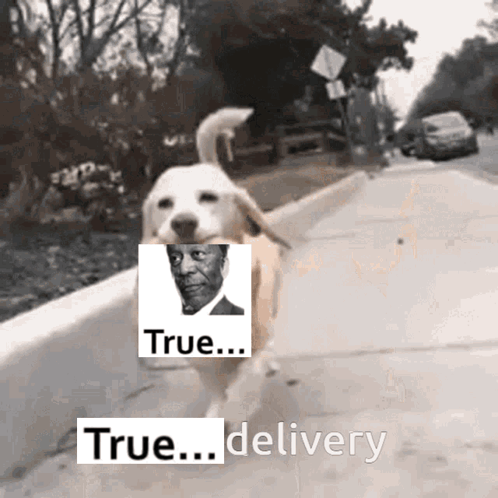 a dog is running down a sidewalk with a picture of a man and the words " true delivery "