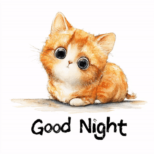 A wide-eyed orange kitten sits above handwritten “Good Night.”