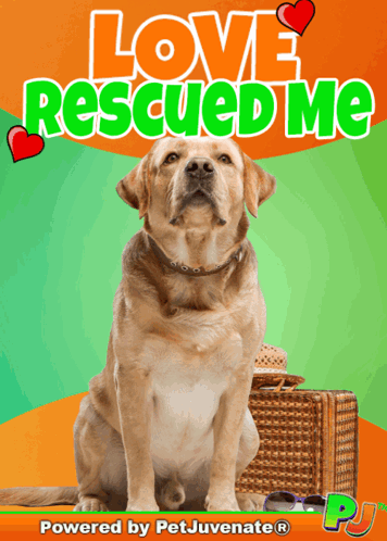 a picture of a dog with the words love rescued me behind it