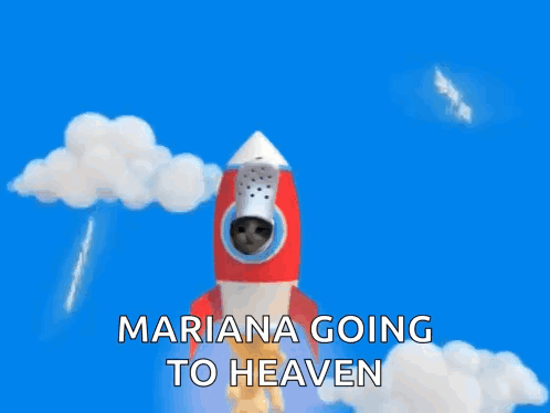 a dog is flying through the air on a rocket with the words bye bye jeets coming out of it .