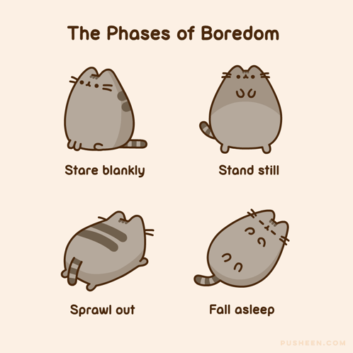 A Pusheen chart illustrates the phases of boredom from staring blankly to falling asleep.