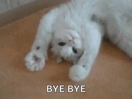 A fluffy white cat lies on the floor with “BYE BYE” written over it.