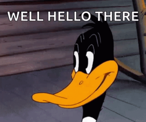Daffy Duck looks on under “WELL HELLO THERE” text.