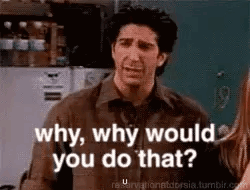 Ross Geller from Friends asks, “why, why would you do that?”