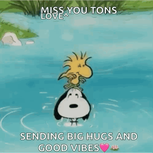 Woodstock stands by water sending big hugs and “GOOD VIBES.”