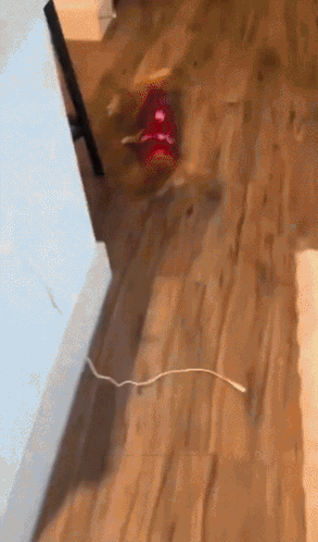 A small cat darts around a room in a shaky vertical video.