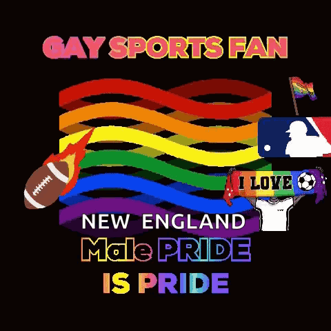 a poster that says gay sports fan new england male pride is pride on it