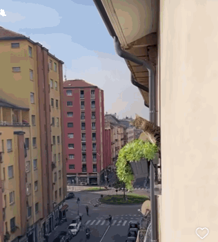 a cat sitting on a balcony overlooking a city street