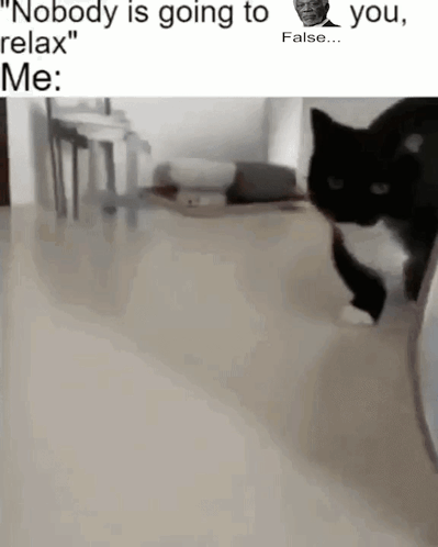 a black and white cat is walking on a tiled floor .