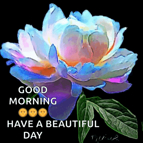 a colorful flower with the words good morning have a beautiful day written on it